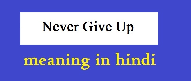 Never Give Up In hindi Translation Meaning