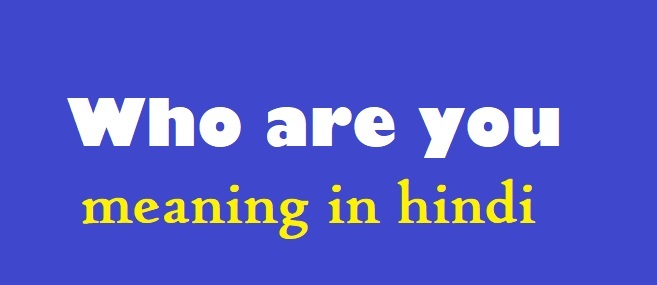 Who are you meaning in hindi