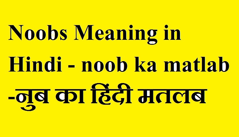 Noobs Meaning in Hindi - noob ka matlab -नुब का हिंदी मतलब