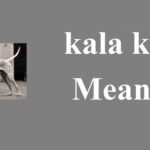 Kala-kutta-meaning-in-english-काला-कुत्ता-मीनिंग-इंग्लिश