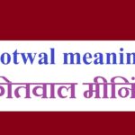 Kotwal-meaning-कोतवाल-मीनिंग