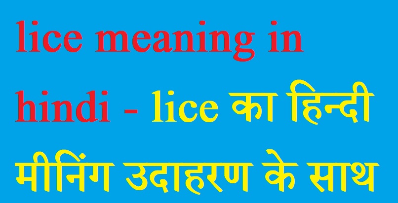 lice meaning in hindi - lice का हिन्दी  मीनिंग उदाहरण के साथ