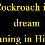 Cockroach-in-dream-meaning-in-Hindi
